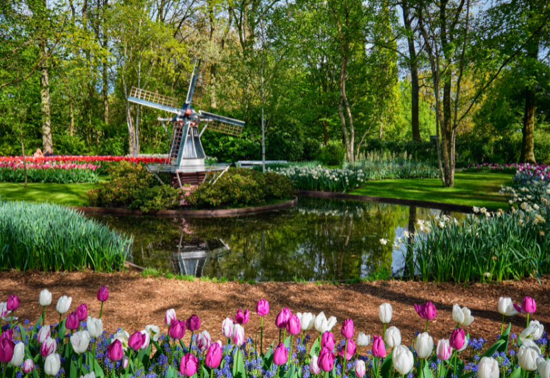 Beļģija – Holande ar Keukenhofas ziedu parka apmeklējumu