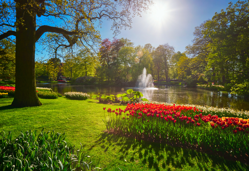 Beļģija – Holande ar Keukenhofas ziedu parka apmeklējumu