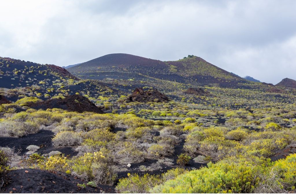 San Antonio krāteris (Centro de Visitantes Volcán San Antonio)
