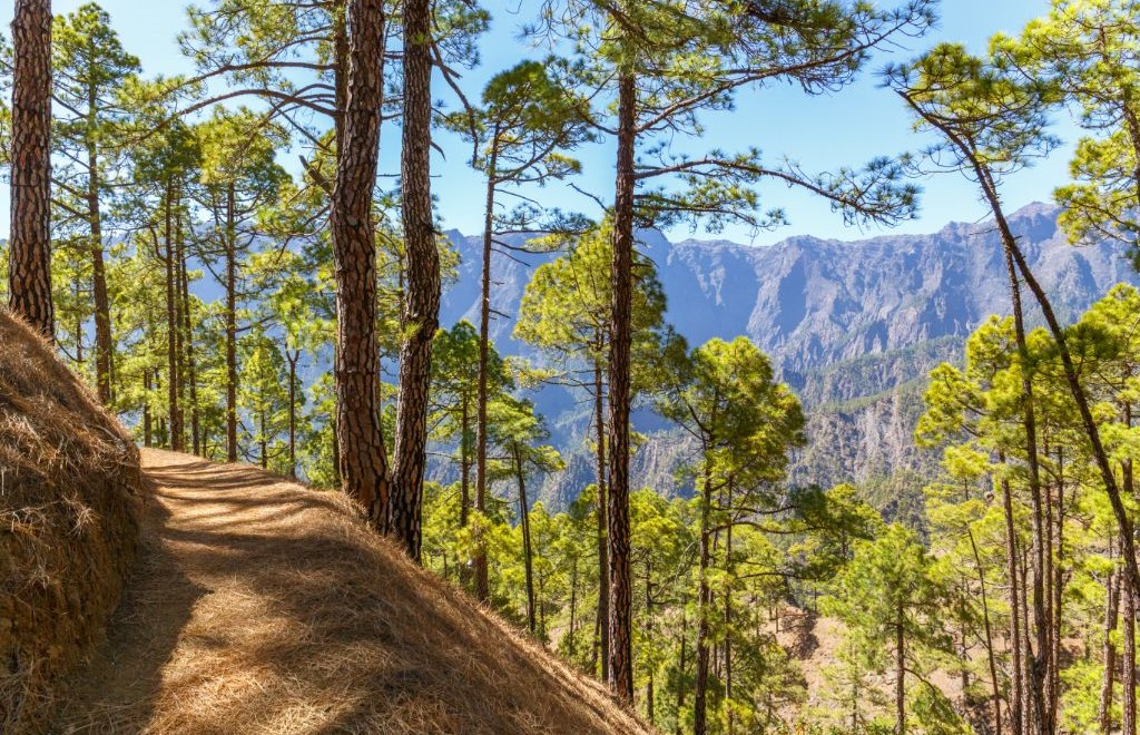 ''Caldera de Taburiente'' Nacionālais parks