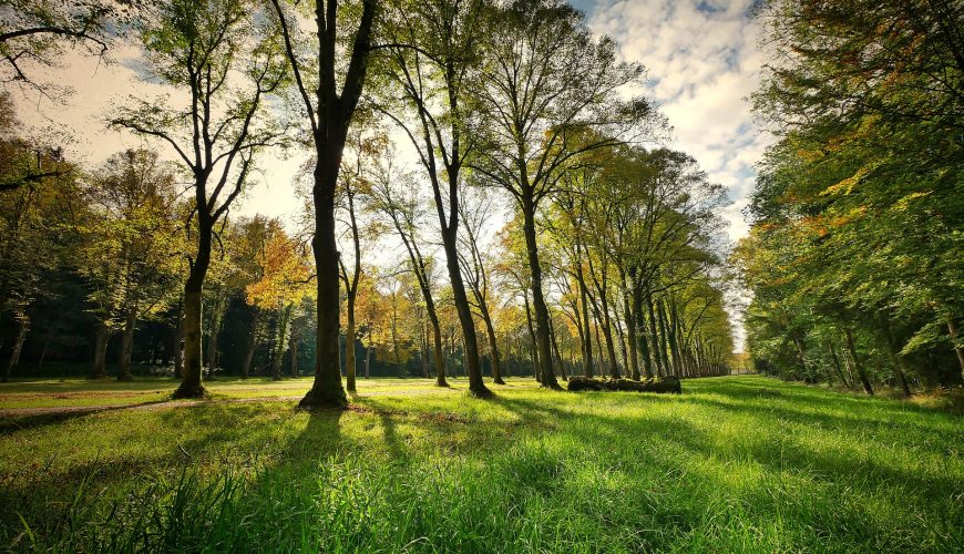 Slīteres Nacionālā parka Ceļotāju dienu pārgājienos varēs iepazīt dabu un lībiešu krasta tradīcijas