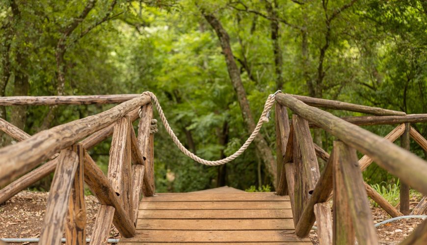 Atjaunoti dabas taku bojātie posmi Gaujas Nacionālajā parkā