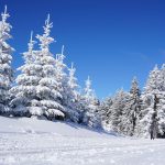 Atpūtas centra “Lido” slidotavā atklās “Ziemas rezidenci”