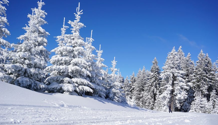 Atpūtas centra "Lido" slidotavā atklās "Ziemas rezidenci"