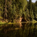 Bīstamu koku dēļ uz laiku slēgs tūristu takas Ķeizarskata apkārtnē Siguldā
