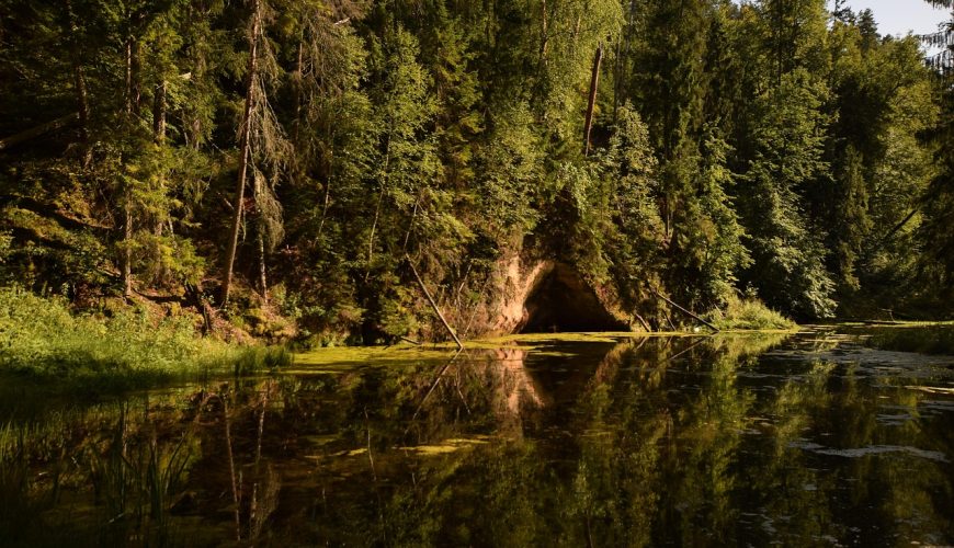 Bīstamu koku dēļ uz laiku slēgs tūristu takas Ķeizarskata apkārtnē Siguldā