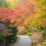 Pasākumi Latvijā Novembra mēnesī