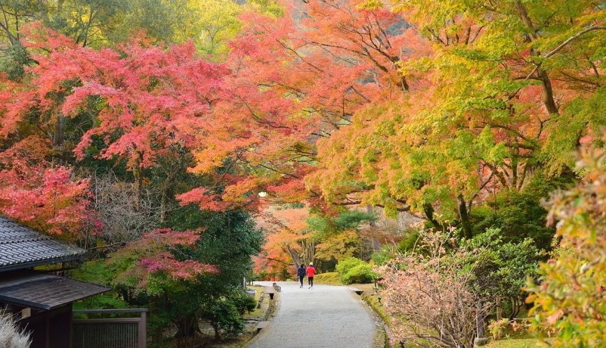 Pasākumi Latvijā Novembra mēnesī