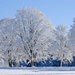 Latvijas Avīze: Ceļojam pretim ziemai