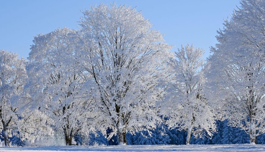 Latvijas Avīze: Ceļojam pretim ziemai