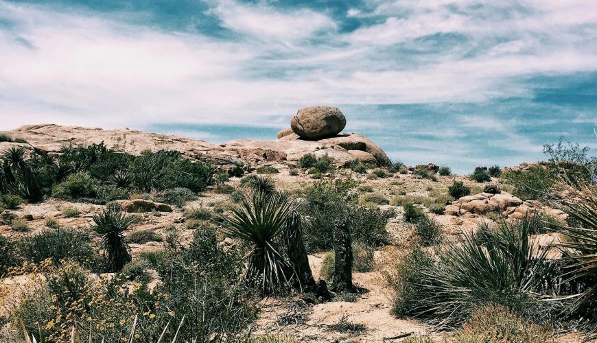 Diena (SestDiena): Tuksneša kalpojums