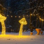 Audiovizuāla pastaiga “Saucam gaismu” Rūķīšu mežā LVM dabas parkā Tērvetē