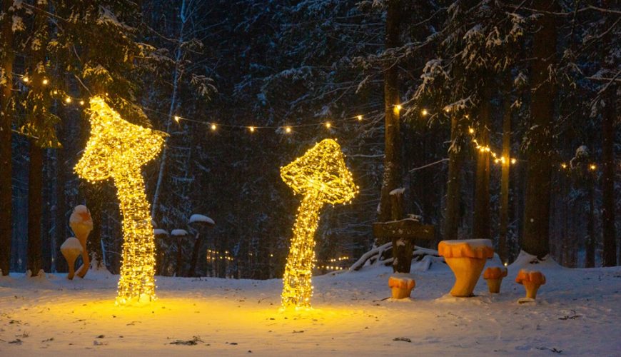 Audiovizuāla pastaiga “Saucam gaismu” Rūķīšu mežā LVM dabas parkā Tērvetē