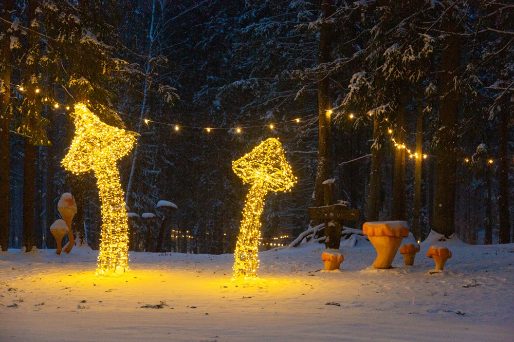 Audiovizuāla pastaiga “Saucam gaismu” Rūķīšu mežā LVM dabas parkā Tērvetē