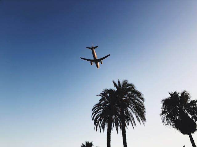 Aviokompānija SAS atsāk lidojumus no Rīgas lidostas