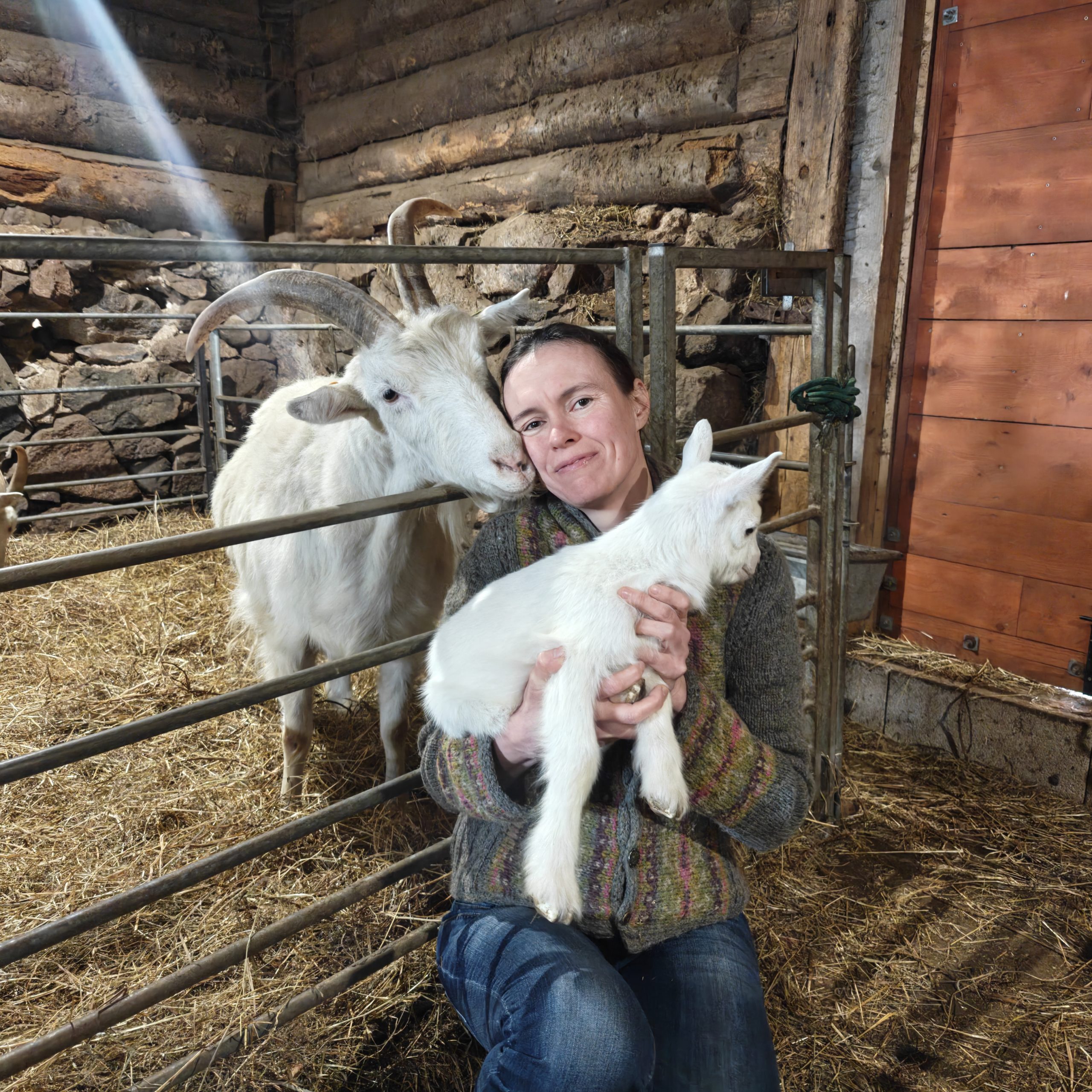 Valmieras novada uzņēmējdarbības pieredzes stāsts – “Gredzenmuižas” stāsts saimniece Dace Šulce un Jorens Gredzens