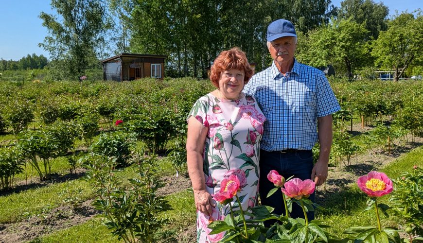 Valmieras novada uzņēmējdarbības pieredzes stāsts – kolekciju dārzs “Silezeru peonijas”