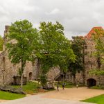 SIENA DIENA TURAIDĀ “Kad pļava kļūst par svētkiem”