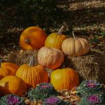 Pasākumu programma novembrim